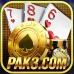 Pak3 Game
