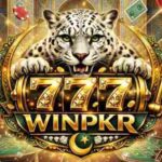 winpkr777 game